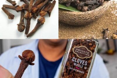 4 Secret Uses of Clove Spice You Need to Know