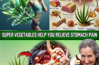 Revitalizing Your Health with Aloe Vera Juice: A Timeless Tradition of Wellness